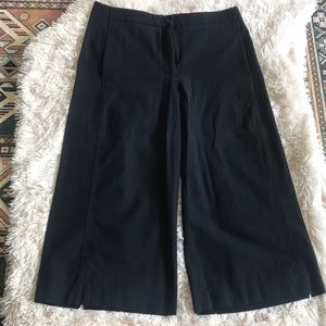 GUC Ann Taylor Marina Wide Leg Pant size 12p